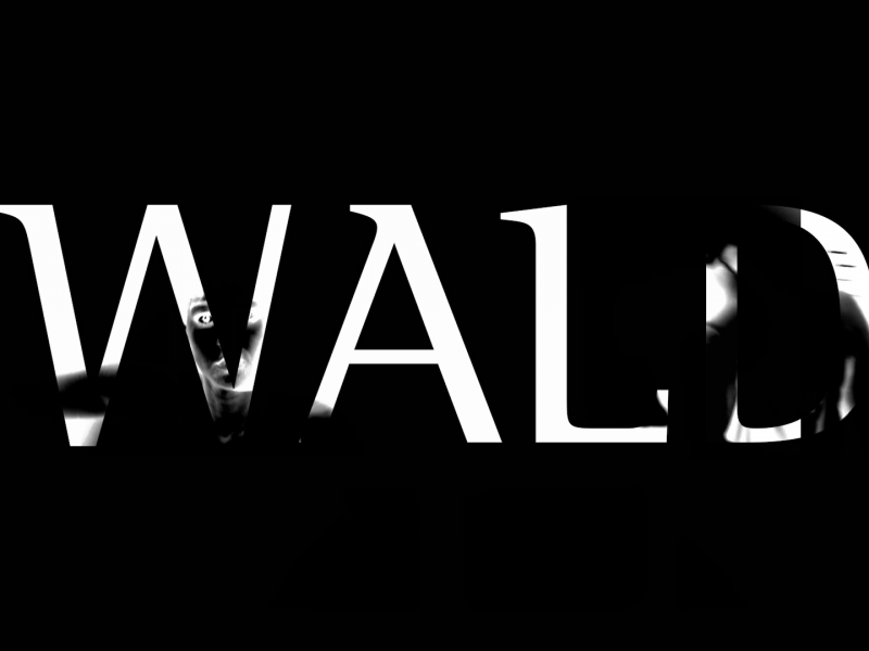 Der Wald im Menschen- durch Tanz zur Begegnung